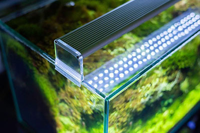 vender informal Limo Luces de acuario LED de bricolaje: Una guía de iluminación de acuarios